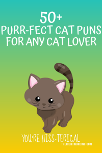 50+ Hiss-terically Purr-fect Cat Puns For Any Cat Lover