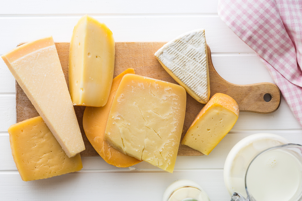 Here are all of the gouda puns about cheese that will make you smile! 